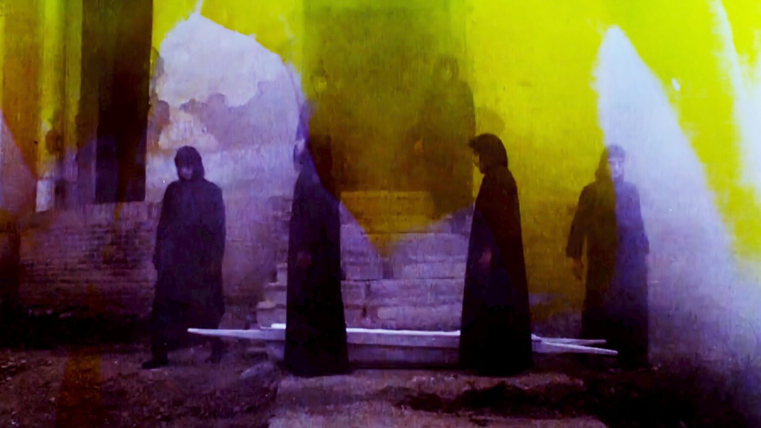 Square Eyes - Daria_s night flowers 2