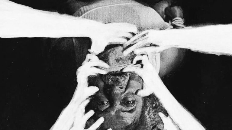 Square Eyes - NOIZE