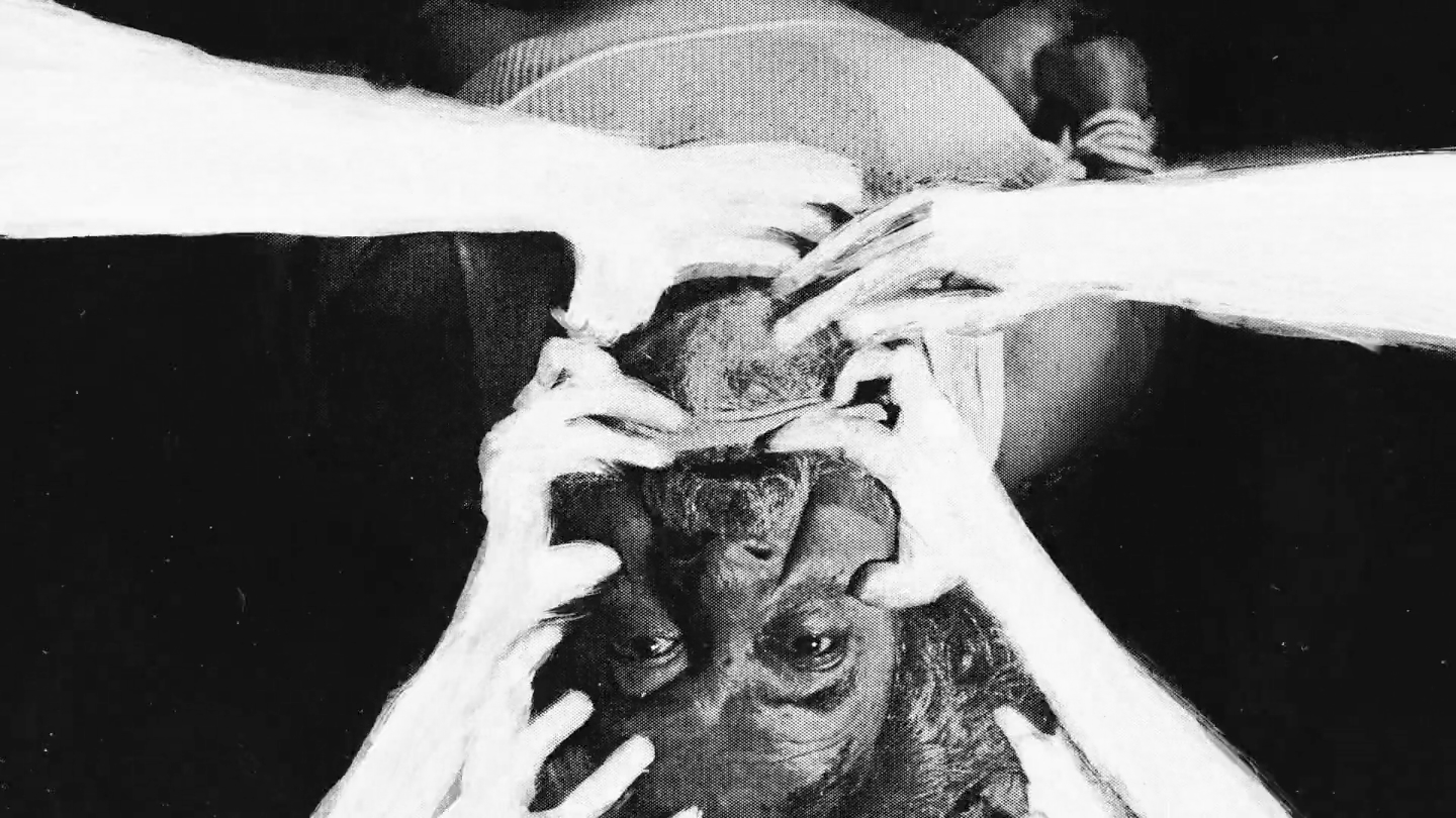 Square Eyes - Noize - still 3
